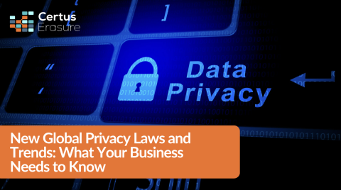New Global Privacy Laws and Trends